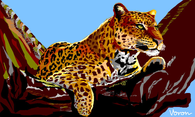 LEOPARD - ideal cat