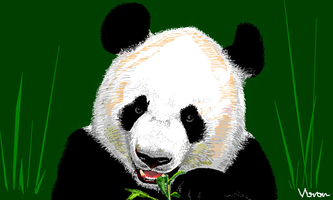 >> GIANT PANDA <<